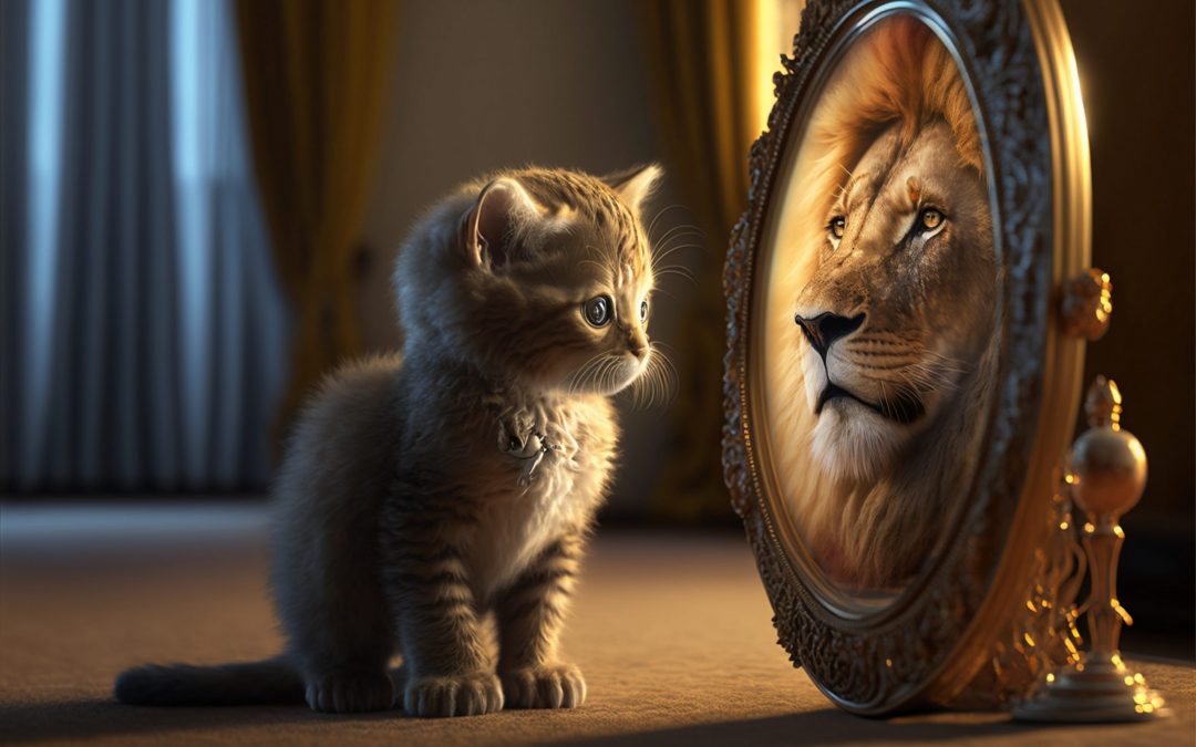 kitten looking at round mirror on table, male lion inside mirror